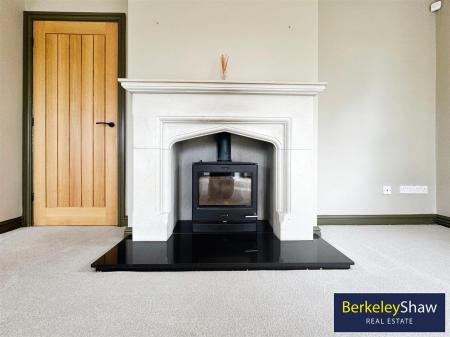 Living room multi fuel