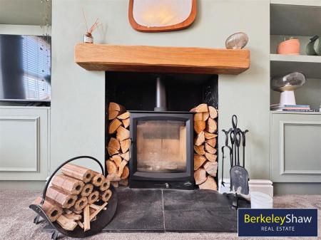 Log burning stove