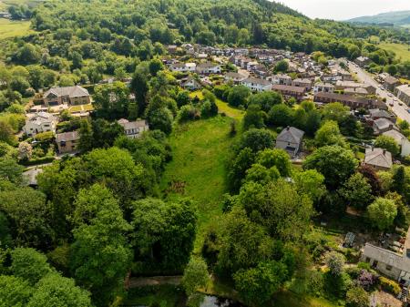 2 acres.jpg