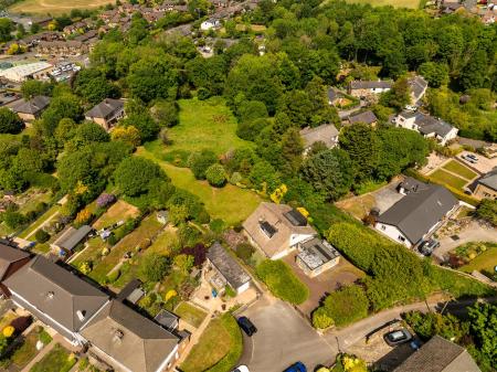 2 acres-4.jpg