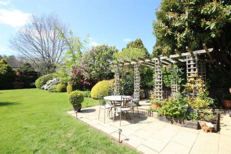 Patio Area