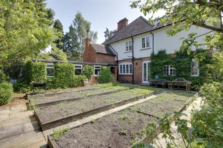 Vegetable Garden