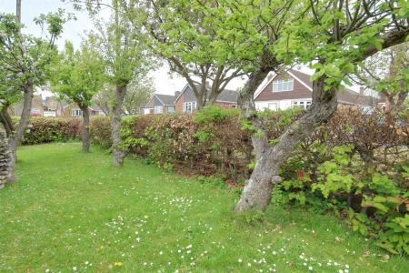 Side Garden/Orchard