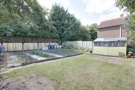 Vegetable Garden