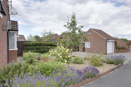 Driveway & Garage