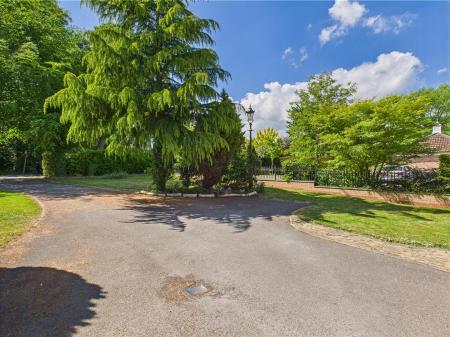 Front Garden & Drive