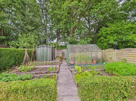 Vegetable Patch