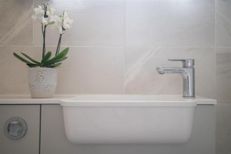 10_8500607.jpg