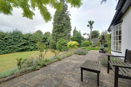 West Terrace