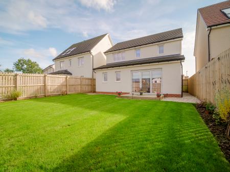 Back garden