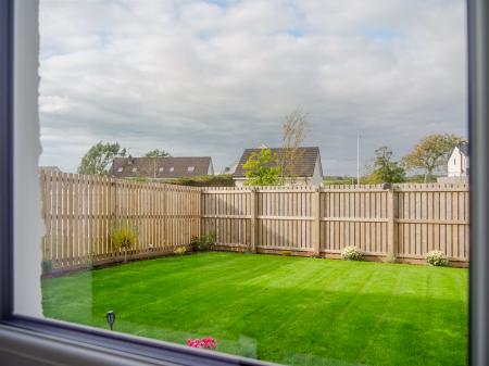 Back garden