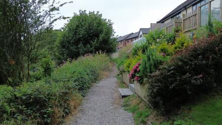 Stroll along the riverbank