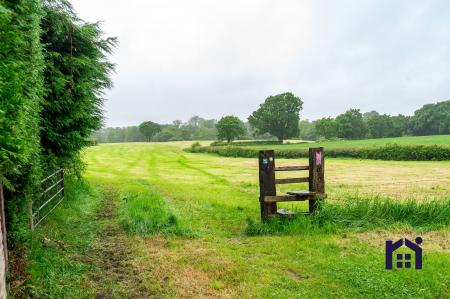 At the end of the lane