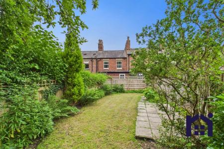 Back garden