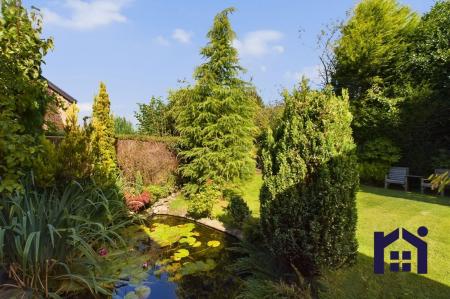 Garden pond