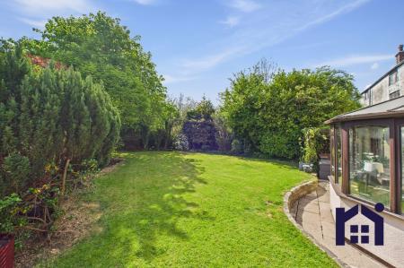 Back Garden