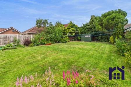 Shared Garden