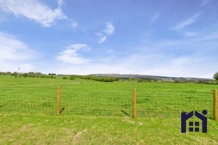 Over the fence