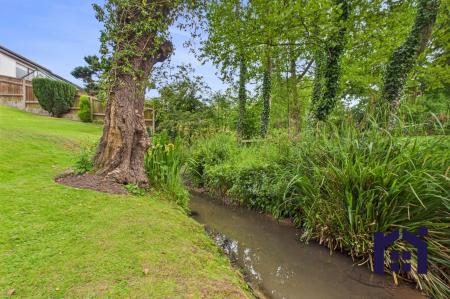 The stream