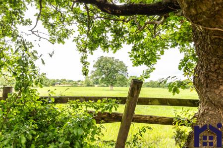 Across the fields