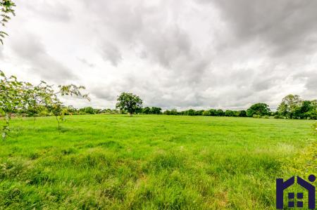 Across the fields