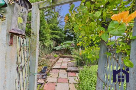 Cottage garden path