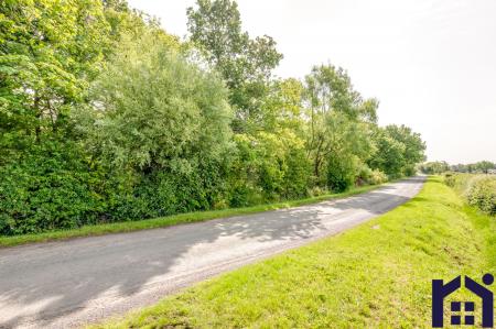 Down the lane