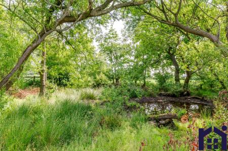Woodland