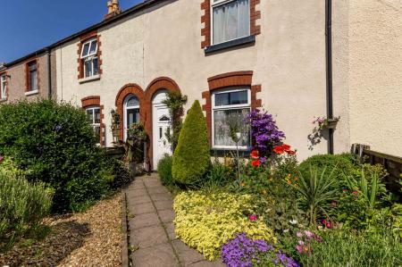 Front garden in summer