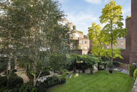 View of Communal Gardens