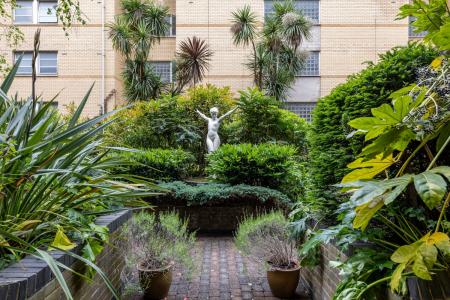 Communal Garden