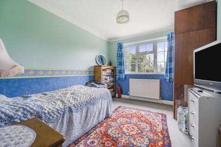 1263521 (17).jpg