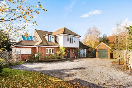 1376005-26-6915de...