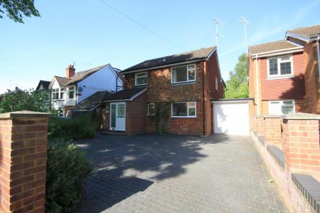 Wedgewood (Main)