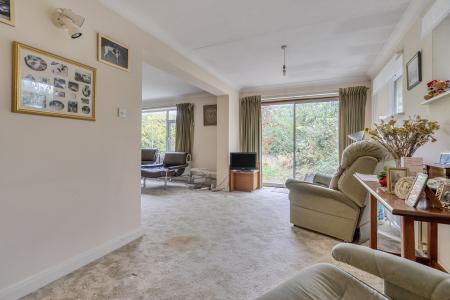 1364159-12-68ee3a...