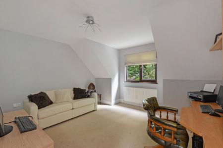 image11