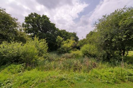 image14