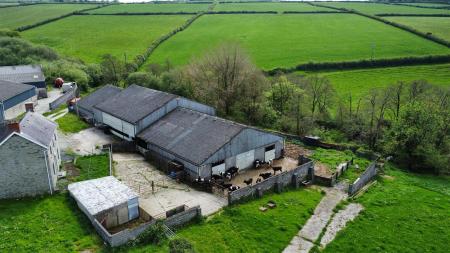 Cattle Housing