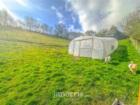Polytunnel