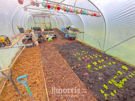 Polytunnel