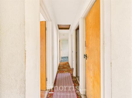 CAM05297G0-PR0060-STILL022.jpg