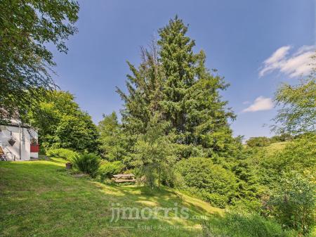 CAM05297G0-PR0061-STILL032.jpg