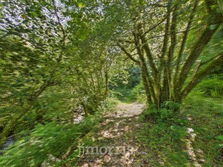 CAM05297G0-PR0061-STILL037.jpg