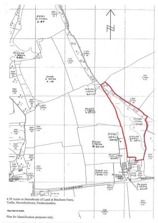 4.39 Acres Binchurn Plan.jpg