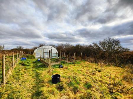 Polytunnel