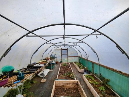 Polytunnel