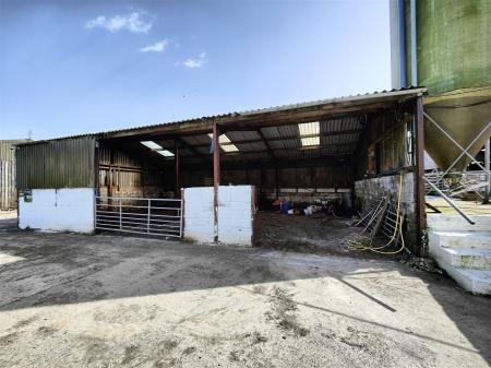 Loose  Cattle Shed