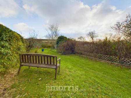 Pics of Garden