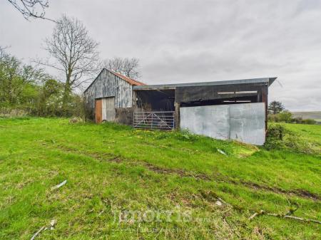 Lean-to Multipurpose Shed