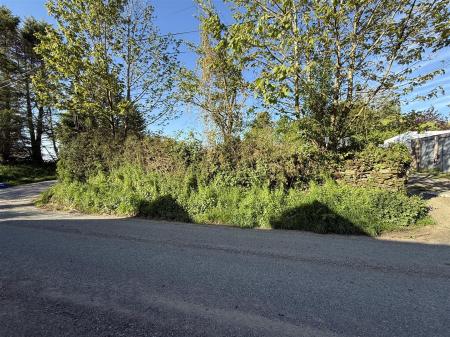 IMG_4110.JPG